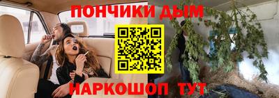 дурь Камышлов